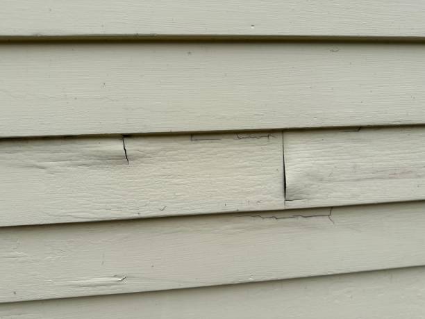 Trusted Rio Hondo, TX Siding Services Experts